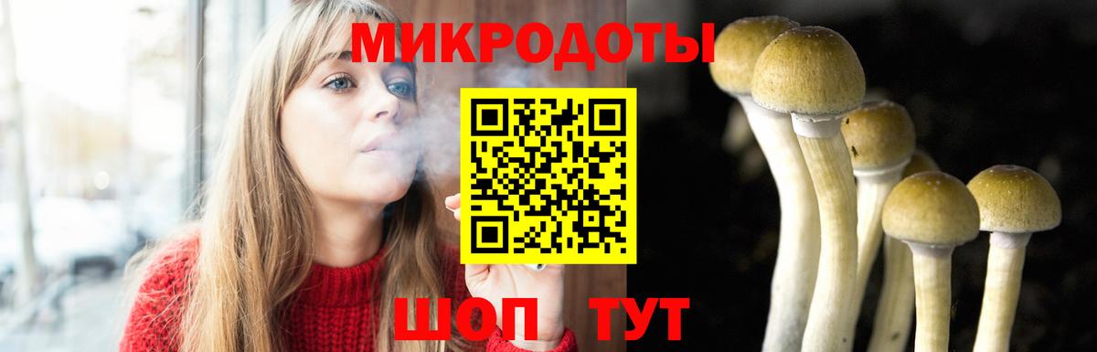 Галлюциногенные грибы ЛСД  Вход с VPN  купить  сайты  Зерноград  Псилоцибиновые грибы мухоморы 