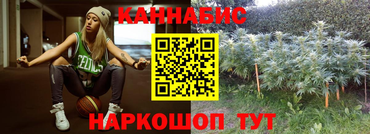 Бошки Шишки индика Зерноград